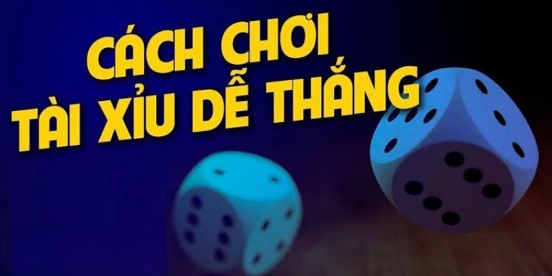 Hướng Dẫn Cách Đánh Tài Xỉu Cho Người Mới