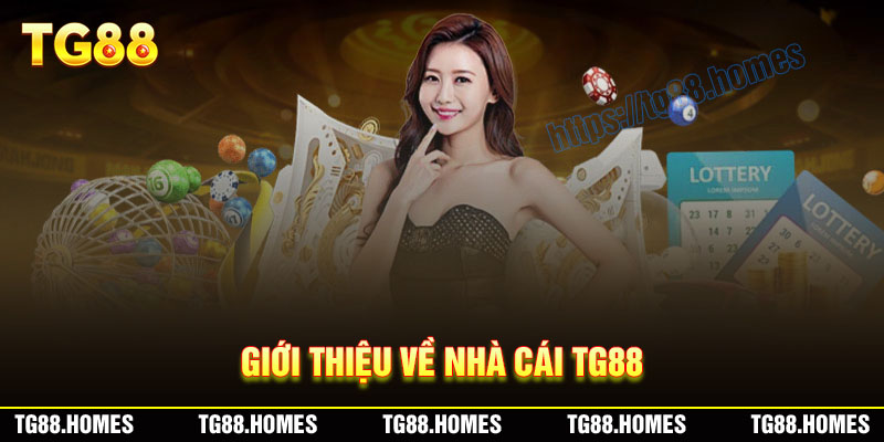 doi-net-ve-nha-cai-tg88
Lịch sử hình thành và phát triển của nhà cái TG88