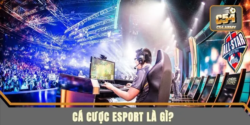 Vì Sao Cá Cược eSports Tại 99WIN Lại Bùng Nổ?